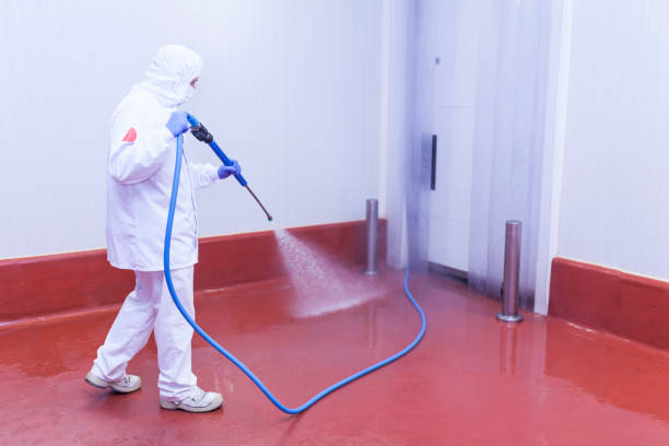 Best Brick and Stone Cleaning in Elkins, WV