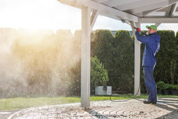 Best Fence Cleaning and Maintenance in Elkins, WV