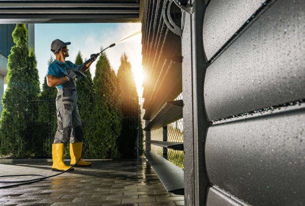 Best Driveway Cleaning and Restoration in Elkins, WV