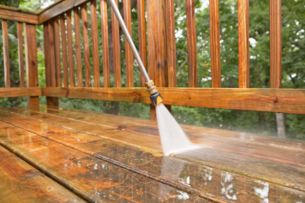 Best Pool Deck Cleaning in Elkins, WV